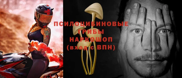 сатива Алексин