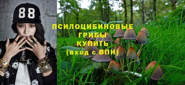 прущие крисы Алексеевка