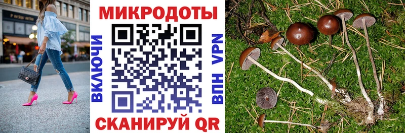 купить закладку  Духовщина  Псилоцибиновые грибы Psilocybe 